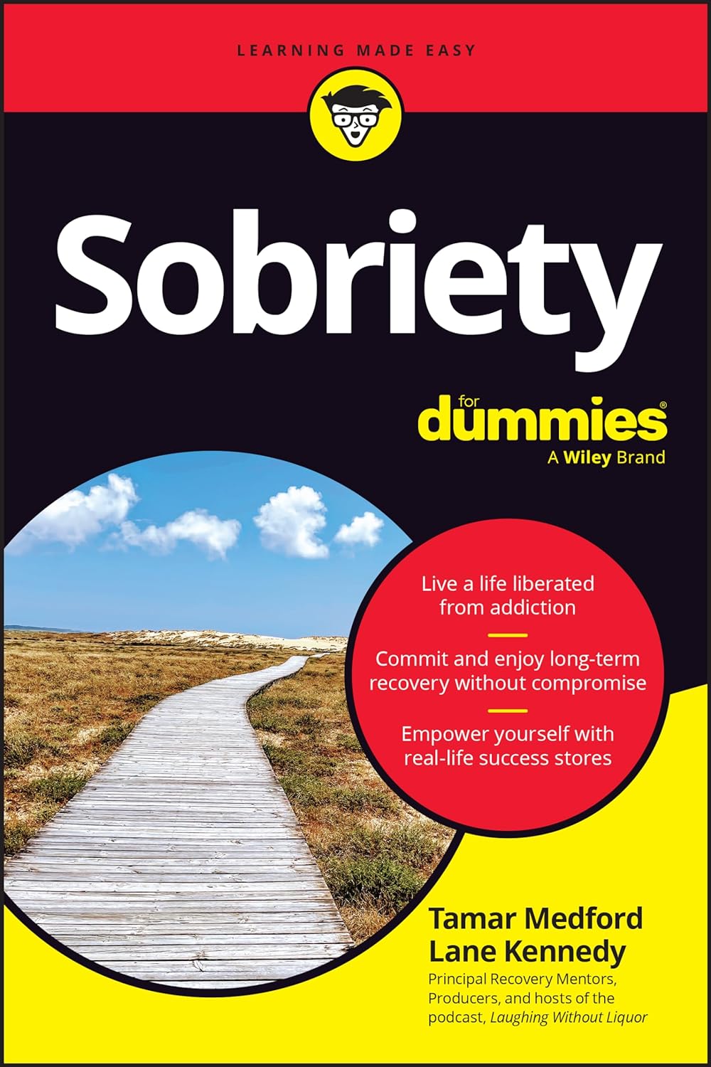 Sobriety for Dummies (1ST ed.) - NJ Corrections Bookstore