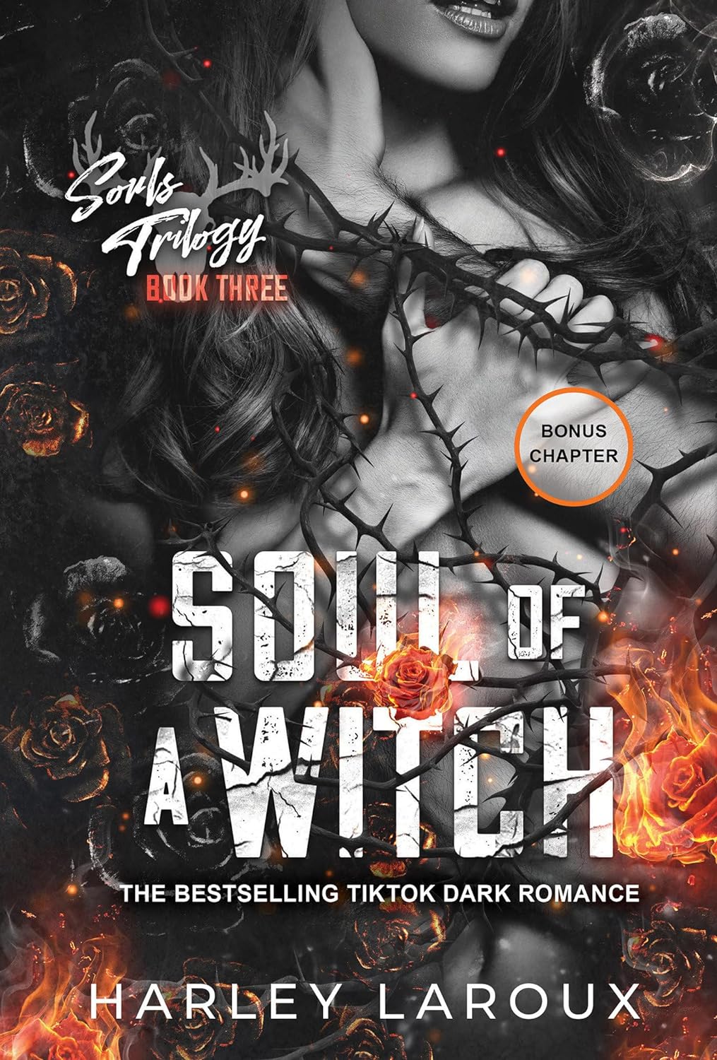 Soul of a Witch: A Spicy Dark Demon Romance (Souls Trilogy) - NJ Corrections Bookstore