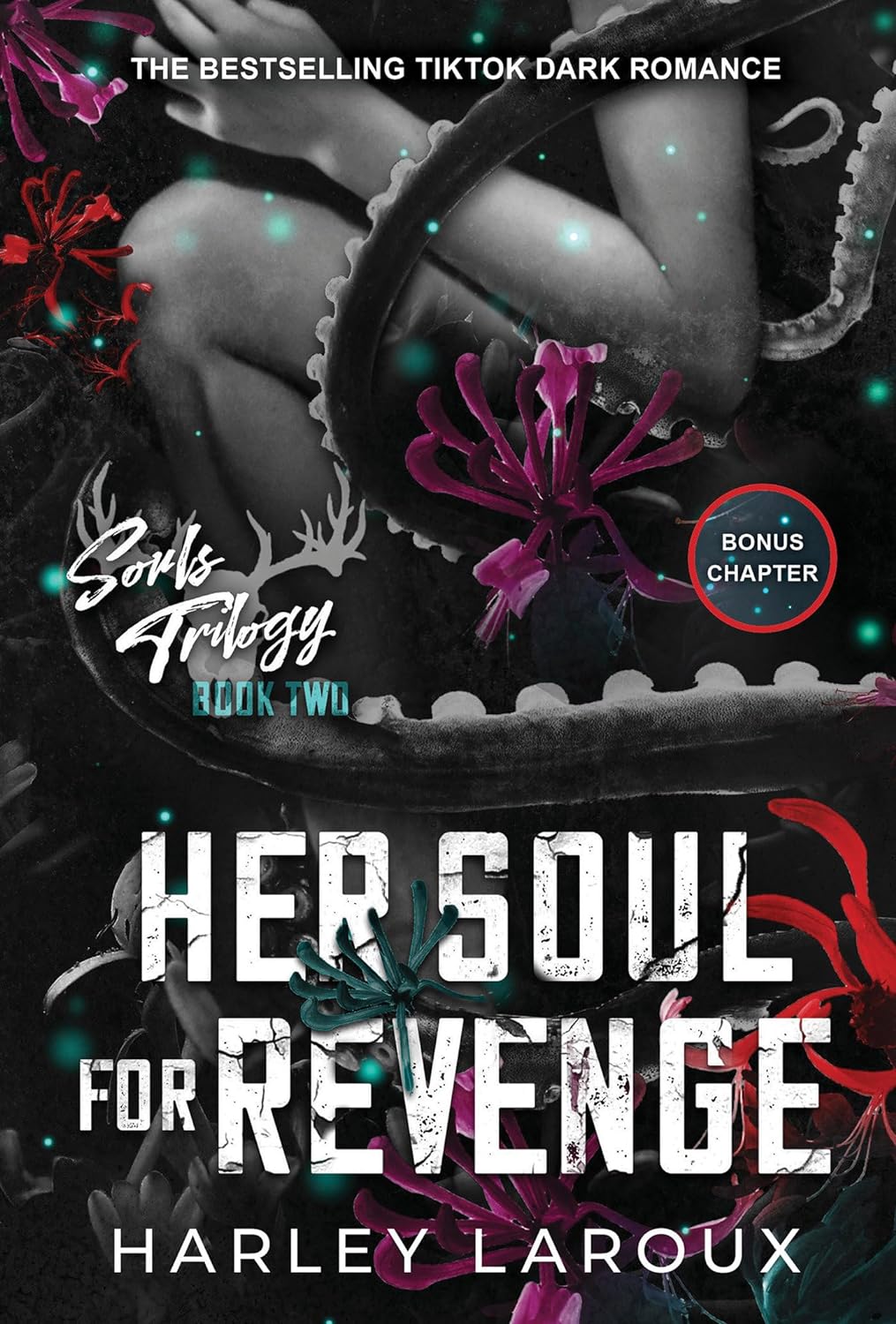 Her Soul for Revenge - A Spicy Dark Demon Romance - NJ Corrections Book Store