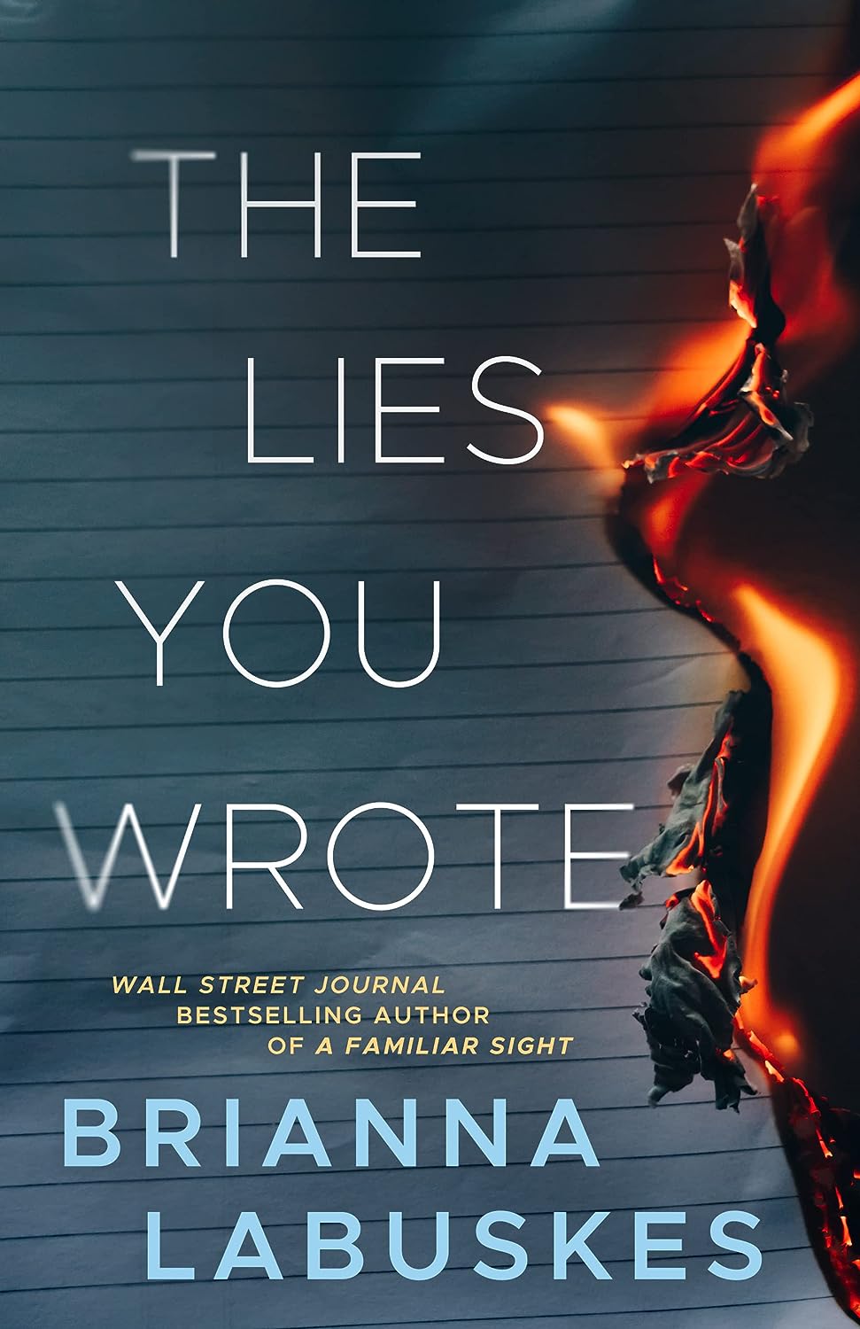 The Lies You Wrote (Raisa Susanto #1) - NJ Corrections Bookstore