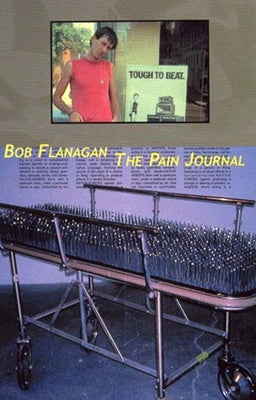The Pain Journal Paperback Semiotext(e)