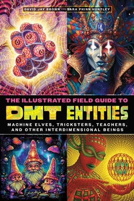 The Illustrated Field Guide to Dmt Entities: Machine Elves, Tricksters, Teachers, and Other Interdimensional Beings Paperback Park Street Press