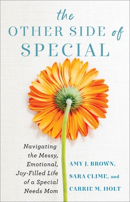 The Other Side of Special: Navigating the Messy, Emotional, Joy-Filled Life of a Special Needs Mom Paperback Fleming H. Revell Company