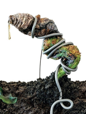 Tetsumi Kudo: Retrospective Paperback Walther Konig Verlag