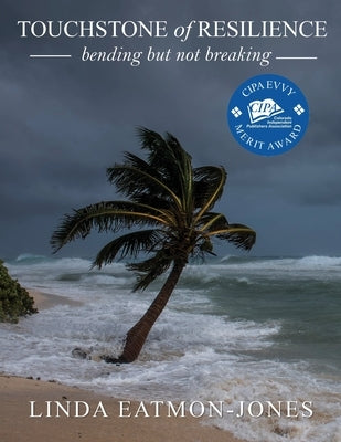 TOUCHSTONE of RESILIENCE: bending but not breaking Paperback Xulon Press