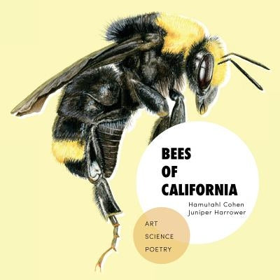 Bees of California: Art, Science, and Poetry Symbiostudio