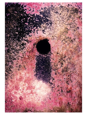 Taiyo Onorato & Nico Krebs: Water Column Paperback Patrick Frey Edition