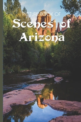 Picture Book Of Scenes Of Arizona: Large Print Book For Seniors with Dementia or Alzheimer's by Books, Old Church Lane