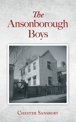 The Ansonborough Boys Paperback Palmetto Publishing