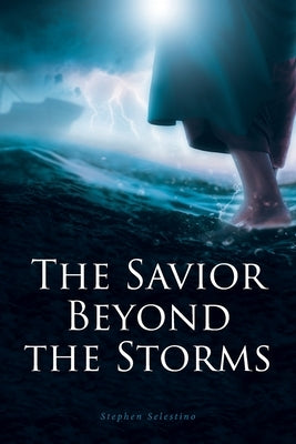 The Savior Beyond the Storms Paperback Covenant Books