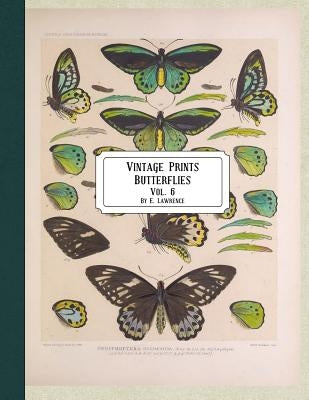 Vintage Prints: Butterflies: Vol. 3 Paperback Createspace Independent Publishing Platform