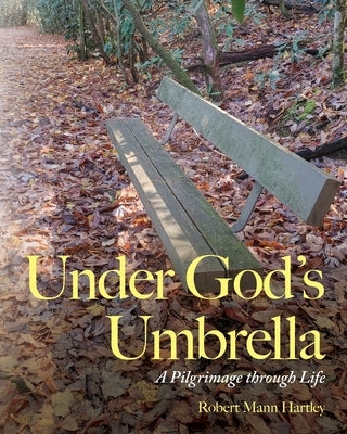 Under God's Umbrella: A Pilgrimage through Life Paperback Palmetto Publishing