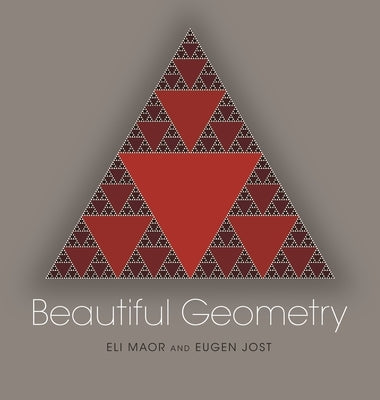 Beautiful Geometry Paperback Princeton University Press