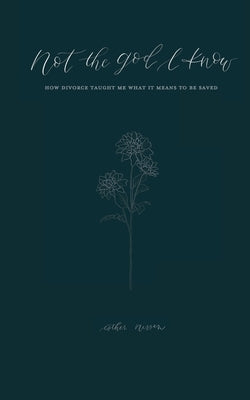 Not the God I Know: How Divorce Taught Me What it Means to be Saved Paperback Euclid Avenue Publishing