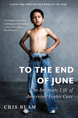 To the End of June: The Intimate Life of American Foster Care Paperback HarperOne