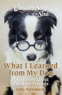 Chicken Soup for the Soul: What I Learned from My Dog: 101 Stories about Our Best Friends Paperback Chicken Soup for the Soul
