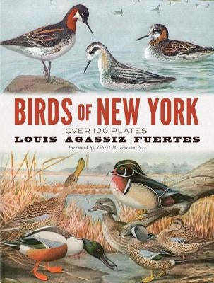 Birds of New York: Over 100 Plates Paperback Dover Publications