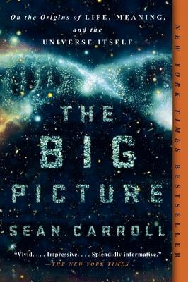 The Big Picture: On the Origins of Life, Meaning, and the Universe Itself Paperback Dutton Books