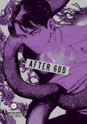 After God, Vol. 3 Paperback Viz Media