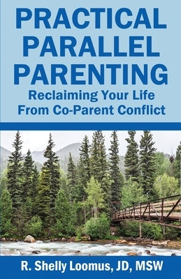 Practical Parallel Parenting: Practical Parallel Parenting Paperback Rosedog Books