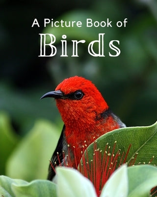 A Picture Book of Birds: A Beautiful Picture Book for Seniors With Alzheimer's or Dementia. A Perfect Gift For Bird Lovers! Paperback Independently Published