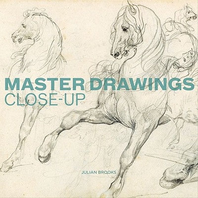 Master Drawings Close-Up Paperback J. Paul Getty Museum