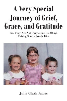 A Very Special Journey of Grief, Grace, and Gratitude: No, They Are Not Okay...but It's Okay! Raising Special Needs Kids Paperback Newman Springs Publishing, Inc.
