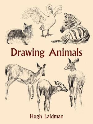 Drawing Animals Paperback Dover Publications