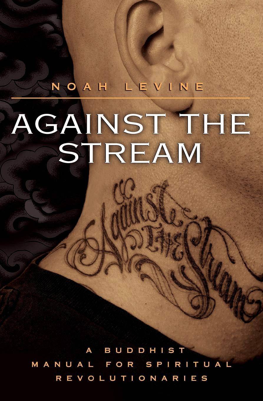 Against the Stream: A Buddhist Manual for Spiritual Revolutionaries Religion | Buddhism Levine, Noah