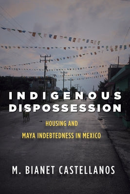 Indigenous Dispossession: Housing and Maya Indebtedness in Mexico by Castellanos, M. Bianet