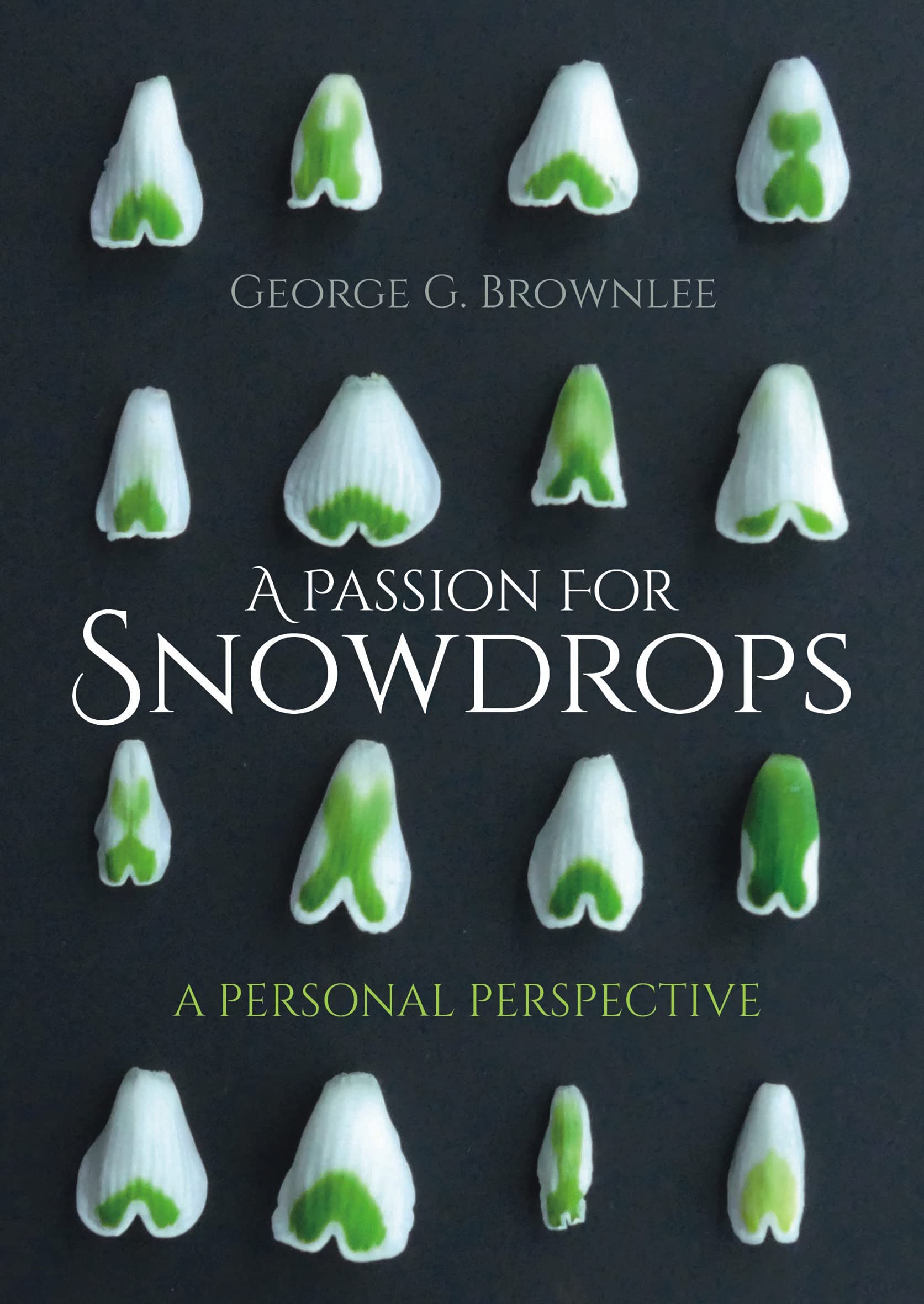 A Passion for Snowdrops: A Personal Perspective SureShot Books Publishing LLC