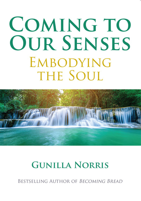 Coming to Our Senses: Embodying the Soul by Norris, Gunilla
