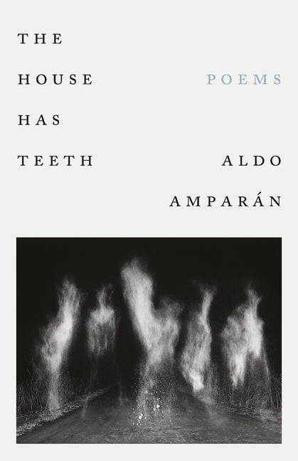 The House Has Teeth by Amparán, Aldo