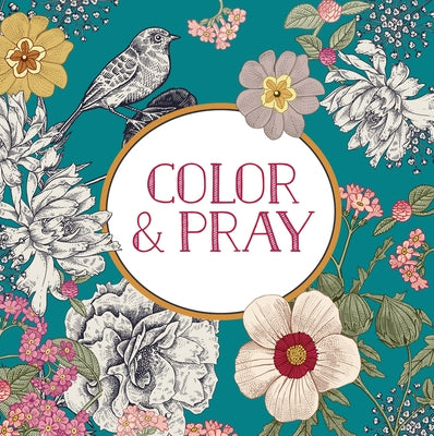 Color & Pray (Keepsake Coloring Book) Paperback New Seasons