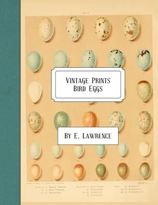 Vintage Prints: Bird Eggs Paperback Createspace Independent Publishing Platform
