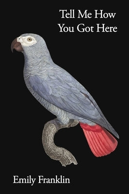 Tell Me How You Got Here Paperback Terrapin Books