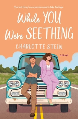 While You Were Seething by Stein, Charlotte