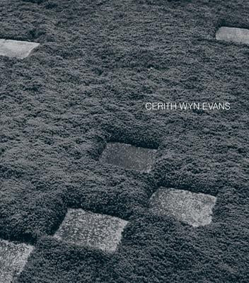 Cerith Wyn Evans Paperback Walther Konig Verlag