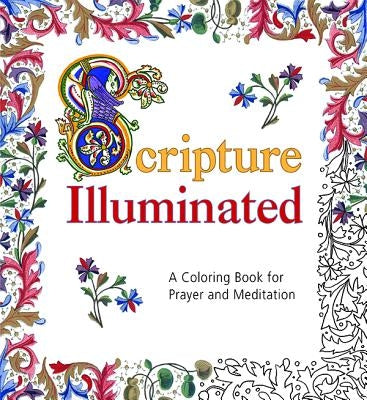Scripture Illuminated Coloring Book Pauline Books & Media