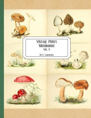 Vintage Prints: Mushrooms: Vol. 5 Paperback Createspace Independent Publishing Platform