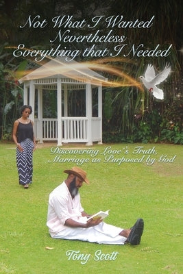 Not What I Thought I Wanted Nevertheless Everything I Needed Paperback Tony Scott