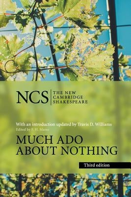 Much ADO about Nothing Paperback Cambridge University Press