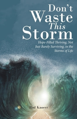 Don't Waste This Storm: Hope-Filled Thriving, Not Just Barely Surviving, in the Storms of Life WestBow Press