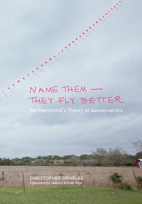 Name Them--They Fly Better: Pat Hammond's Theory of Aerodynamics Paperback Maverick Books