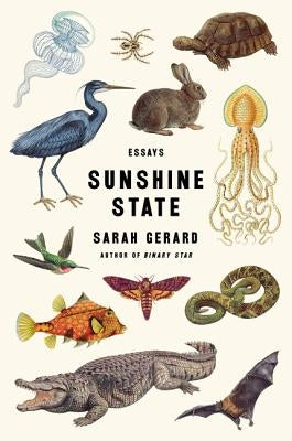 Sunshine State: Essays Paperback Harper Perennial