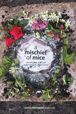 A Mischief of Mice: Secrets, Lies and Love in the Sand Hills of Minnesota Paperback Blooming Twig Books (NY)