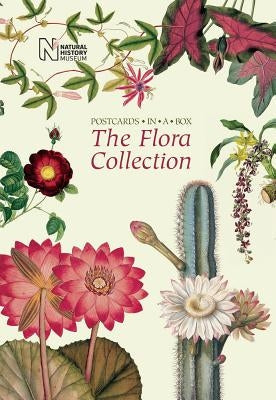 The Flora Collection: Postcards in a Box Novelty Natural History Museum