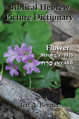 Biblical Hebrew Picture Dictionary Paperback Virtualbookworm.com Publishing