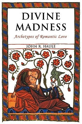 Divine Madness: Archetypes of Romantic Love Paperback Fisher King Press