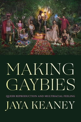 Making Gaybies: Queer Reproduction and Multiracial Feeling Paperback Duke University Press